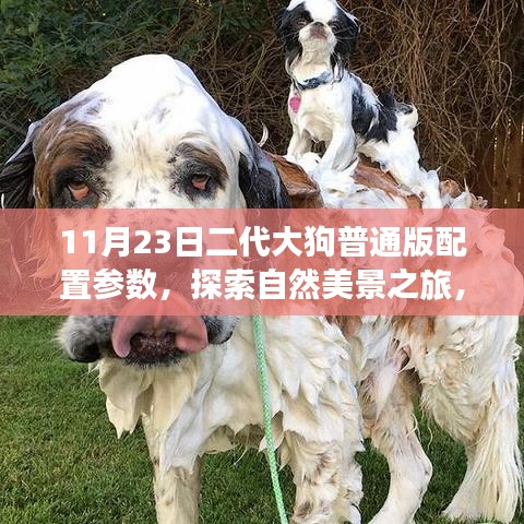 揭秘二代大狗普通版配置参数，自然探索之旅，追寻内心平静与力量