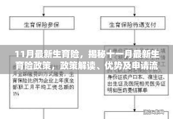 揭秘11月最新生育险政策，政策解读、优势与申请流程全解析
