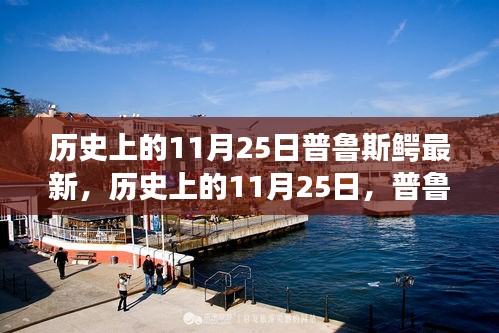 普鲁斯鳄的传奇之旅，探寻历史深处的奇妙探险日——历史上的11月25日揭秘