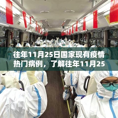 往年11月25日国家疫情热门病例全面解析与步骤指南
