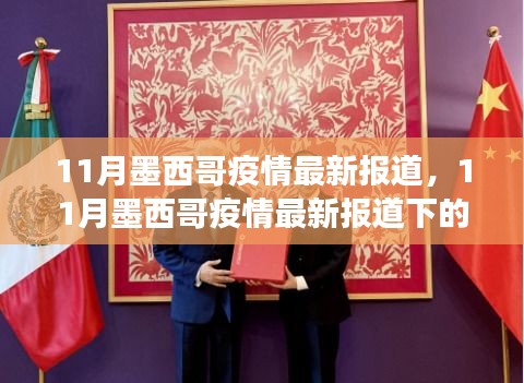 墨西哥疫情最新动态，观察与思考下的某某观点分析