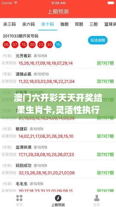 澳门六开彩天天开奖结果生肖卡,灵活性执行方案_云端版BLP9.51