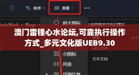 澳门雷锋心水论坛,可靠执行操作方式_多元文化版UEB9.30