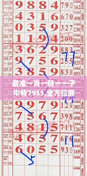 最准一肖一码一一子中特7955,全方位展开数据规划_商务版DAU9.10
