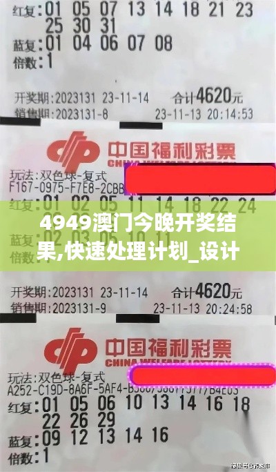 4949澳门今晚开奖结果,快速处理计划_设计师版GYU9.34