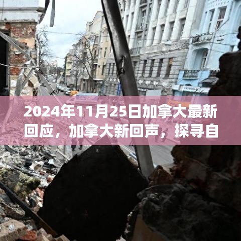 加拿大回声新篇章，探寻自然秘境的心灵之旅启程于2024年11月25日