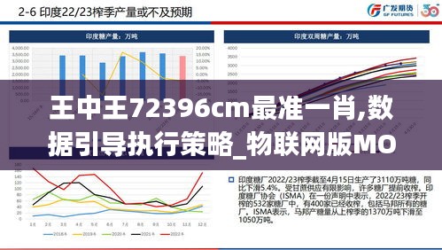 王中王72396cm最准一肖,数据引导执行策略_物联网版MOH9.79