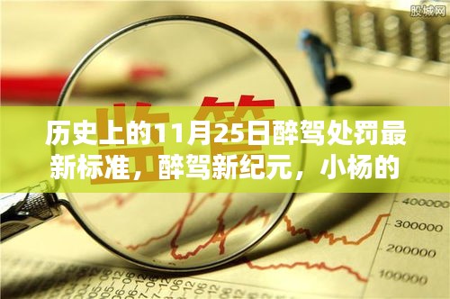 醉驾新纪元，历史上的11月25日醉驾处罚最新标准与小杨的奇遇记。