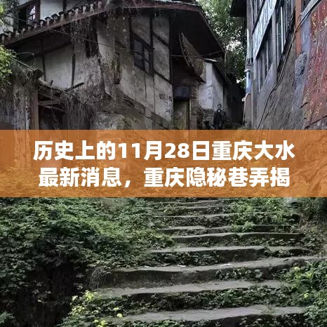 老死不相往来 第5页