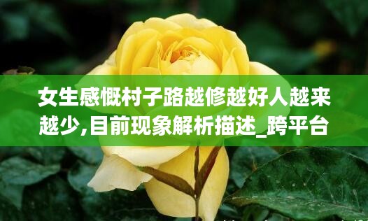 还淳反素 第4页