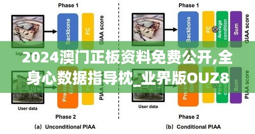 2024澳门正板资料免费公开,全身心数据指导枕_业界版OUZ8.22