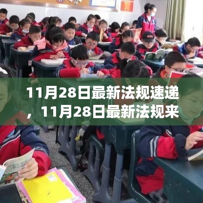 带你开启心灵与自然之旅，最新法规速递与法规动态解析