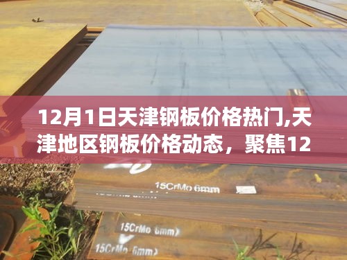 天津钢板价格动态，聚焦热门市场趋势（12月1日）