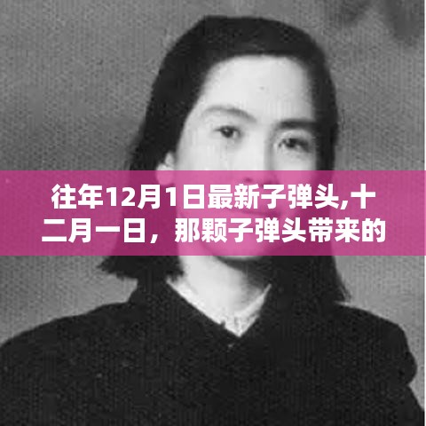 生张熟魏 第3页