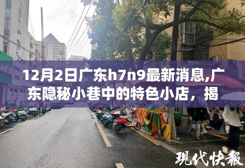 金石为开 第4页