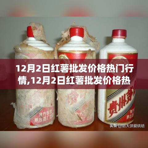 12月2日红薯批发价格行情解析，市场走势与观点分享