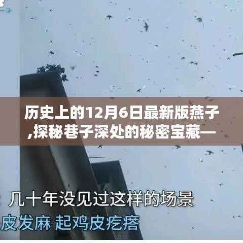 不飞则已 第3页
