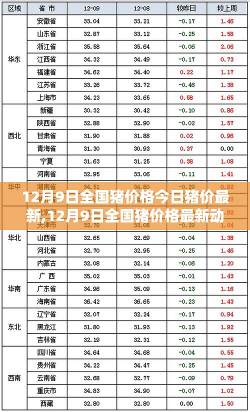 最新动态，12月9日全国猪价走势分析与预测