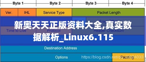 新奥天天正版资料大全,真实数据解析_Linux6.115