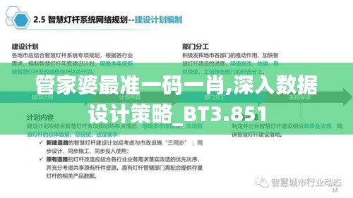 管家婆最准一码一肖,深入数据设计策略_BT3.851