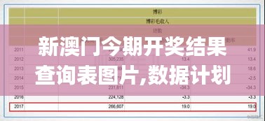 新澳门今期开奖结果查询表图片,数据计划引导执行_Phablet14.783