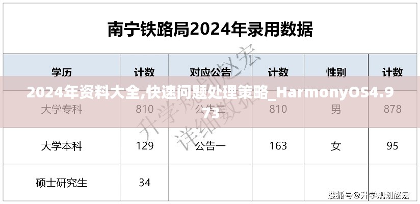 2024年资料大全,快速问题处理策略_HarmonyOS4.973