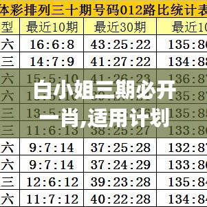 白小姐三期必开一肖,适用计划解析方案_10DM6.281