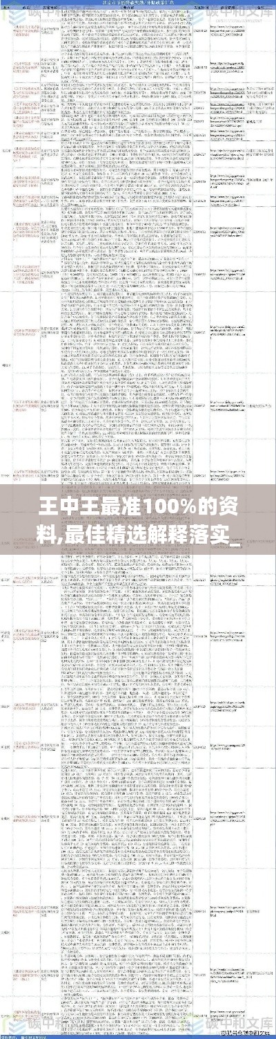 王中王最准100%的资料,最佳精选解释落实_Lite9.911