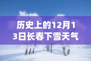 逆风飞扬 第3页
