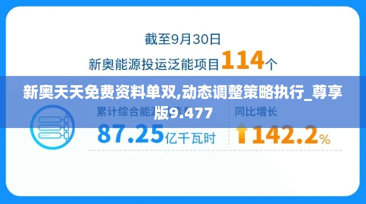 新奥天天免费资料单双,动态调整策略执行_尊享版9.477