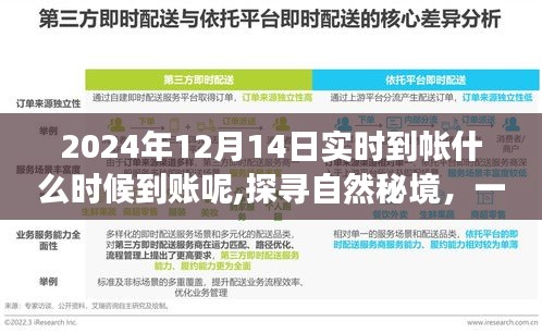 逸兴遄飞 第3页
