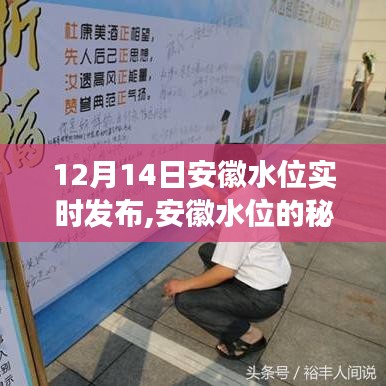 安徽水位实时更新，友情与温馨的日记之旅