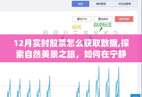 探索自然美景之旅中如何获取十二月实时股票数据