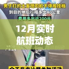 全面解读航班动态信息服务平台，九派新闻实时航班动态报道