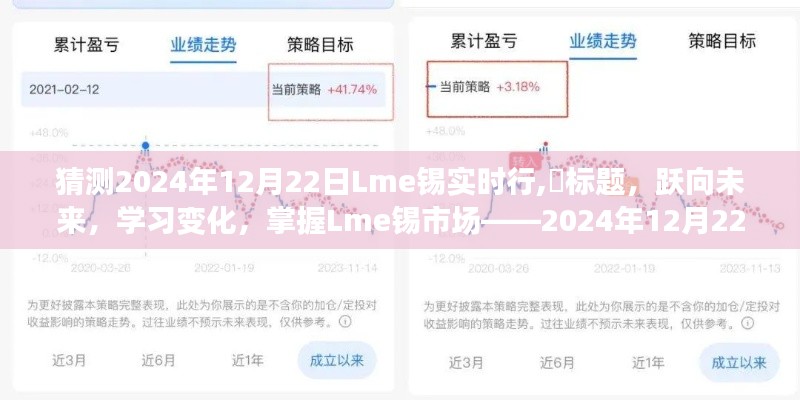 跃向未来，掌握Lme锡市场变化，揭秘2024年12月22日实时行情的励志之旅