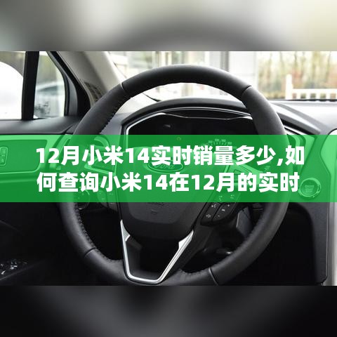 查询指南