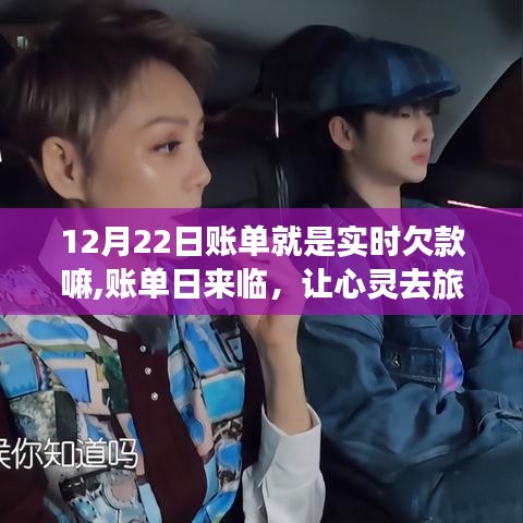账单日的心灵之旅，探寻自然美景中的宁静力量与实时欠款解读