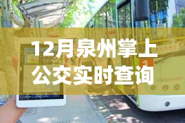 泉州掌上公交实时查询，驾驭公交之旅，探索无限可能的励志故事
