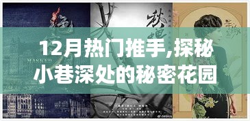 探秘十二月小巷深处的秘密花园，遇见热门推手