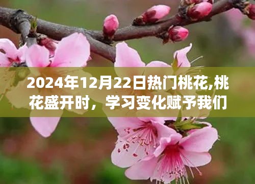 2024年12月22日桃花盛开之际，学习变化带来自信与成就感的励志之旅