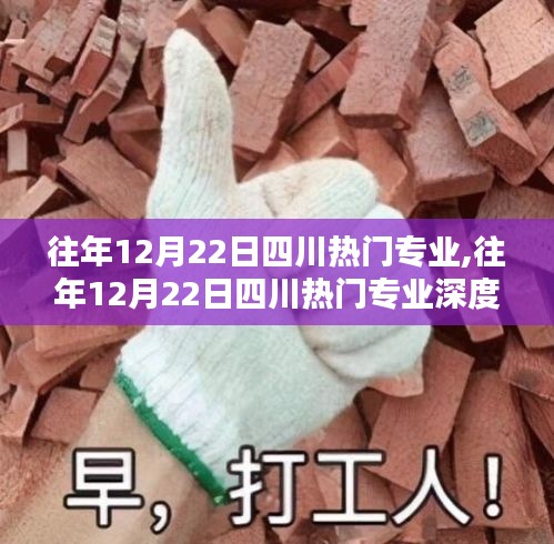 往年12月22日四川热门专业解析与深度探讨