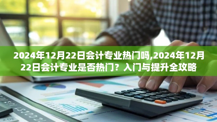 2024年会计专业的热门程度解析，入门与提升全攻略