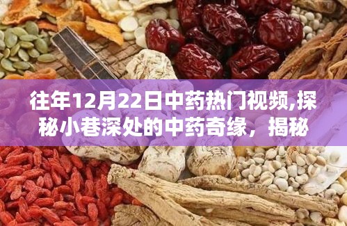 探秘往年12月22日中药热门视频，小巷深处的神秘中药奇缘揭秘神秘小店内幕。