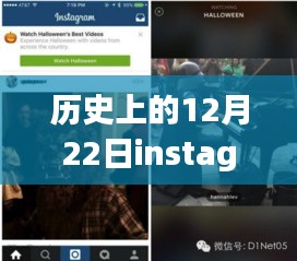 十二月二十二日Instagram上的温馨日常与奇妙评论回顾