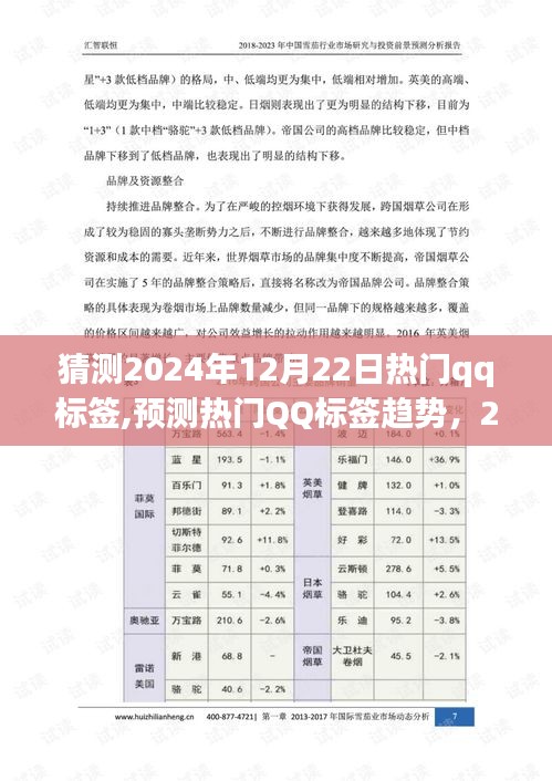 2024年热门QQ标签趋势洞察与预测，揭秘未来日期标签潮流风向标（附日期）