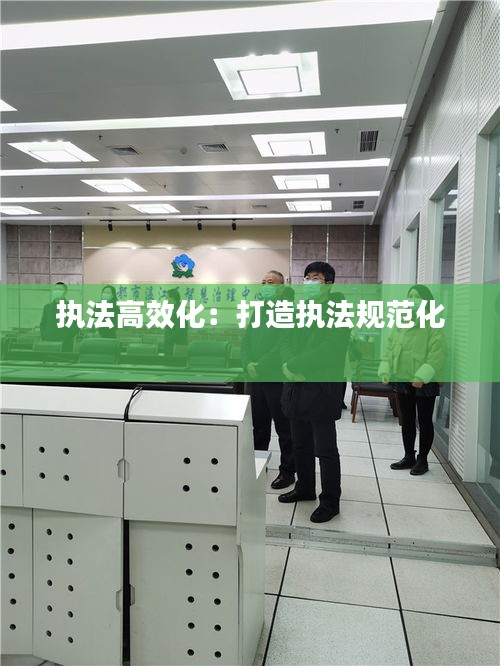 执法高效化：打造执法规范化 