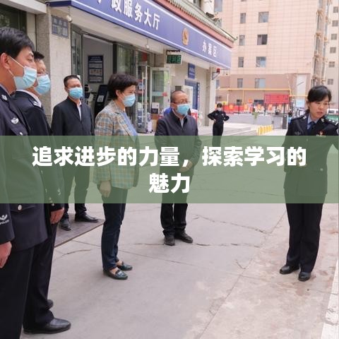 追求进步的力量，探索学习的魅力