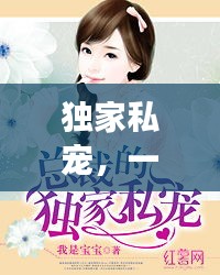 明目张胆 第3页