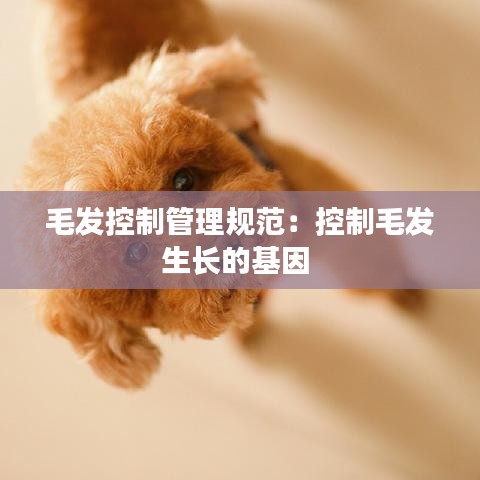 毛发控制管理规范：控制毛发生长的基因 