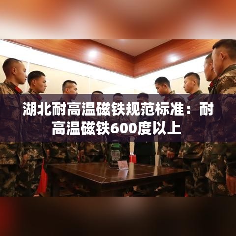 湖北耐高温磁铁规范标准：耐高温磁铁600度以上 